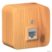 Розетка компьютерная Schneider Electric BLNIA045005