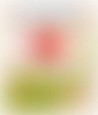 Гладкие презервативы Masculan Organic №3