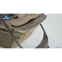 Коляска прогулочная «книга» Lorelli Daisy 2021 (черный)