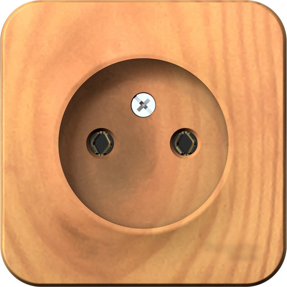 

Розетка Systeme Electric Blanca BLNRA000115 (ясень)