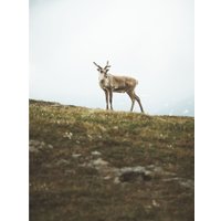 Беззеркальный фотоаппарат Olympus OM-5 Kit 12-45mm (черный)