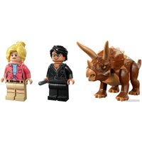 Конструктор LEGO Jurassic World 76959 Поиски трицератопса