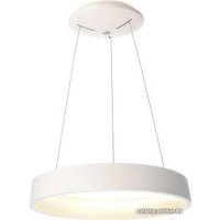 Подвесная люстра Deko-Light Sculptoris 342124