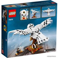 Конструктор LEGO Harry Potter 75979 Букля