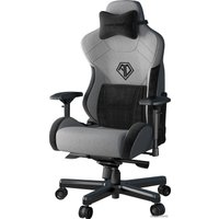 Игровое (геймерское) кресло AndaSeat T-Pro 2 (серый/черный)