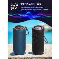 Беспроводная колонка Aiwa PAS-H200 (черный)