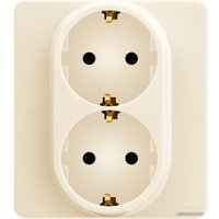 Розетка Legrand Inspiria 673751