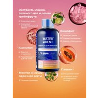 Жидкость для ирригатора Waterdent Утренний детокс 500 мл