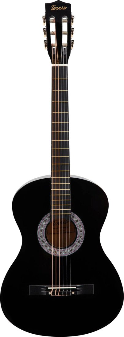 

Акустическая гитара Terris TC-3805A BK