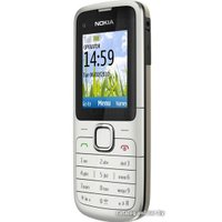 Кнопочный телефон Nokia C1-01