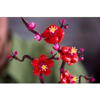 Конструктор LEGO Icons 10369 Цветение сливы