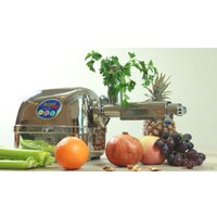 Соковыжималка Angel Juicer Angelia 5500
