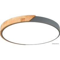 Светильник-тарелка Evoluce Festa SLE200972-01