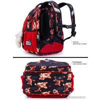 Школьный рюкзак SkyName R2-213 + брелок мишка