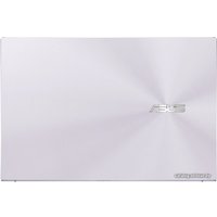 Ноутбук ASUS ZenBook 13 UX325EA-KG250T