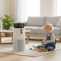 Климатический комплекс Garlyn AirClean V52