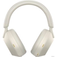 Наушники Sony WH-1000XM5 (серый)