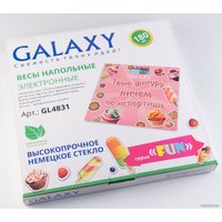 Напольные весы Galaxy Line GL4831