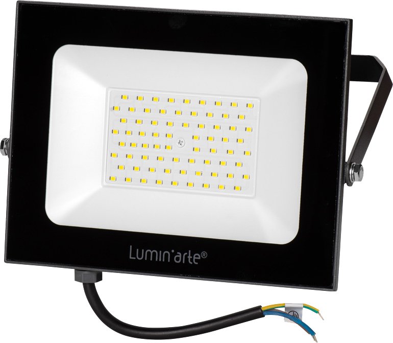 

Уличный прожектор Luminarte LFL-100W/05