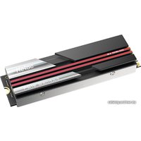 SSD Netac NV7000 1TB NT01NV7000-1T0-E4X