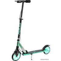 Двухколесный подростковый самокат Roces 175 (бирюзовый)