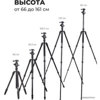 Трипод Raylab Pro 75 (с головой)