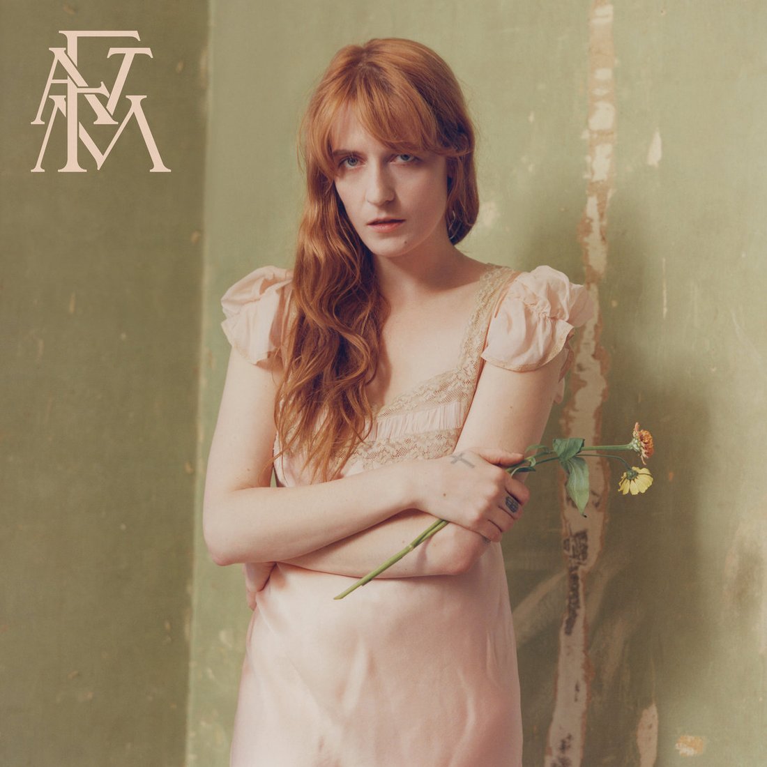 

Виниловая пластинка Florence & The Machine - High As Hope