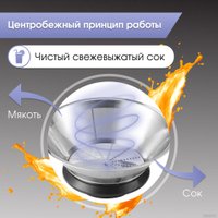 Соковыжималка Zigmund & Shtain EJ-756