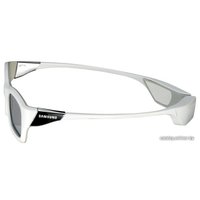 Аксессуары для ТВ Samsung SSG-3300CR