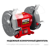Заточный станок Зубр Мастер СТ-200 в Пинске