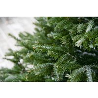 Ель HD Nordic Trees Nordmann Датская Премиум (1-1.2 м, срезанная)