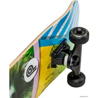 Скейтборд Plank Raccoon P22-SKATE-PACCON