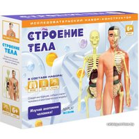 Набор для опытов ND Play Строение тела NDP-119