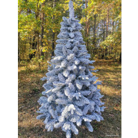 Сосна Christmas Tree Сосна заснеженная Атланта 2.2 м