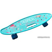 Пенниборд MicMax JP-HB-311 (бирюзовый/фламинго)