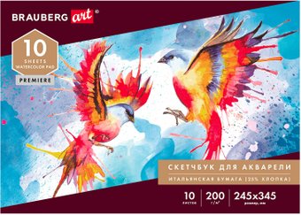 Альбом для рисования BRAUBERG Art 105911 (10 л)