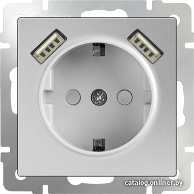 Розетка Werkel WL06-SKGS-USBx2-IP20 (серебряный)