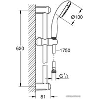 Душевой гарнитур  Grohe New Tempesta 100 27598001