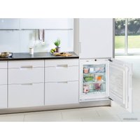 Морозильник Liebherr IG 1024