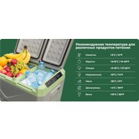 Компрессорный автохолодильник Artelv ARD 40L 32.1л (серый/зеленый)