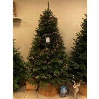 Новогодняя гирлянда GreenTerra Luca Snake 83782 (215см)