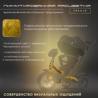 Детский велосипед Nuovita Bamzione B2 Premio (черное золото)