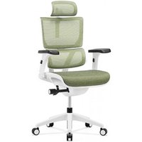 Офисное кресло Ergostyle Vision VIM01-W (зеленый)