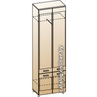 Шкаф распашной Лером Камелия ШК-2634-ГТ-К (гикори джексон темный/комбинир. венге)