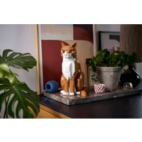 Конструктор LEGO Ideas 21376 Рыжий кот
