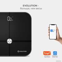 Напольные весы Evolution BTF3 (черный)