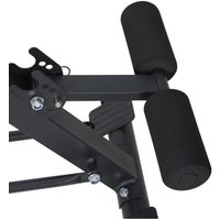 Силовая скамья DDS Lucera B-3 (черный/зеленый)