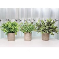 Искусственное растение Sundays Home PB05-12 6405000719C