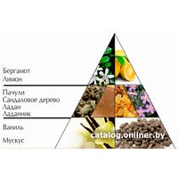 Духи Новая Заря Волшебство пачули (16 мл)