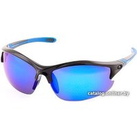 Солнцезащитные очки Norfin 09 NF-2009 (синий)